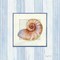 Sanibel Shell III Poster Print by Avery Tillmon - Item # VARPDX8914
